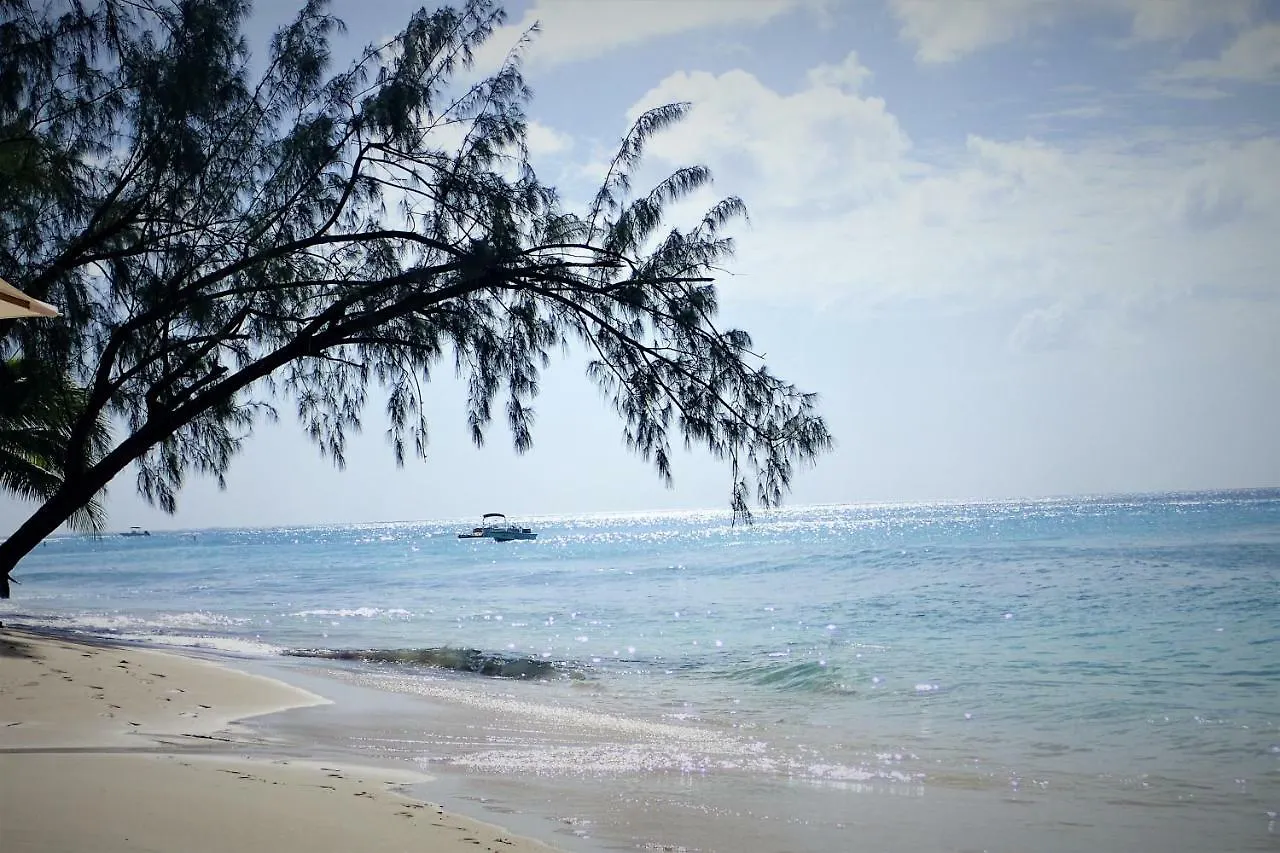Lush Life Villa Saint James