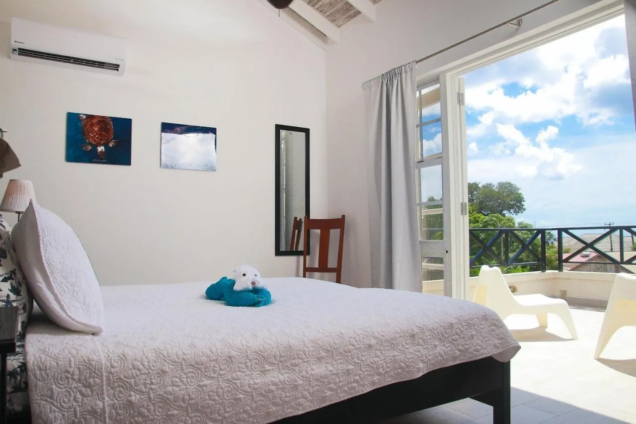 Lush Life Villa Saint James
